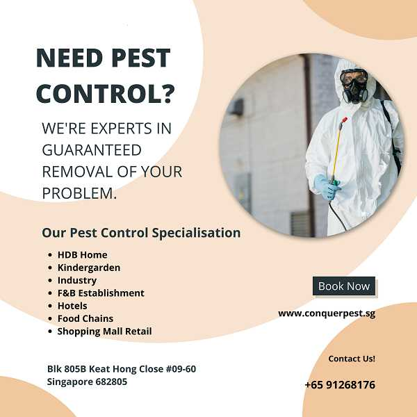 Shared post Mosquitoes Pest Control Service Singapore