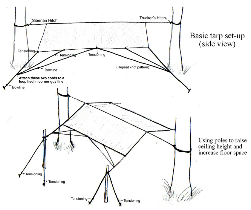 Shared post Tarp Shelters