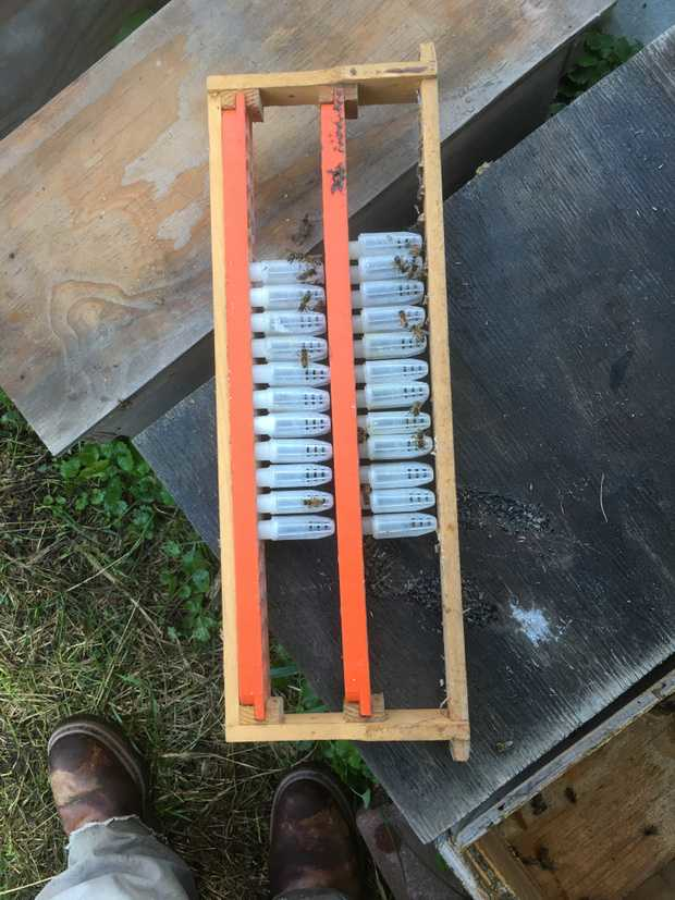 Shared post Queen Bank