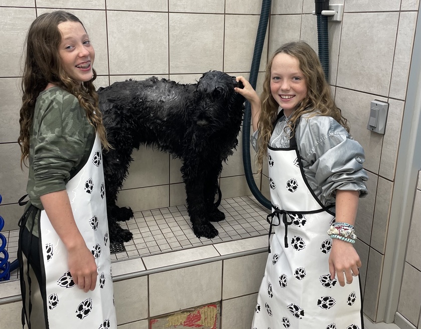 Shared post Washing my big dog